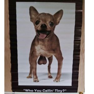 Chihuahua 🐕 Who You Callin’ Tiny? Poster bCreative Poster #3835 Era 2000-2009